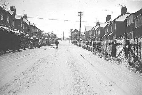 Colbeck avenue in the snow